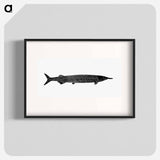 アートポスター-Fish from Manual Of Geology
 - 大英図書館 Poster.