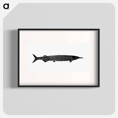 アートポスター-Fish from Manual Of Geology
 - 大英図書館 Poster.