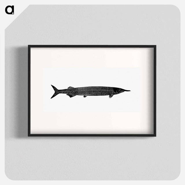 アートポスター-Fish from Manual Of Geology
 - 大英図書館 Poster.