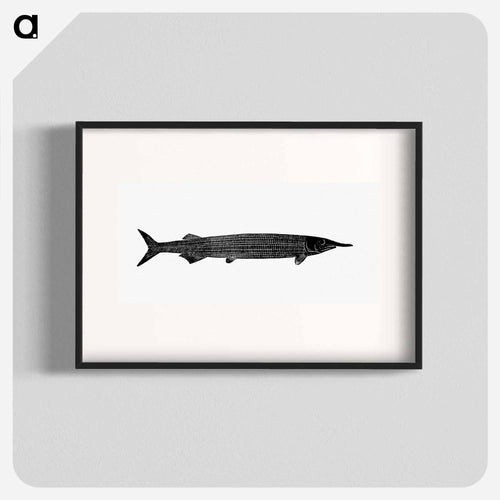 Fish from Manual Of Geology
 - 大英図書館 Poster.