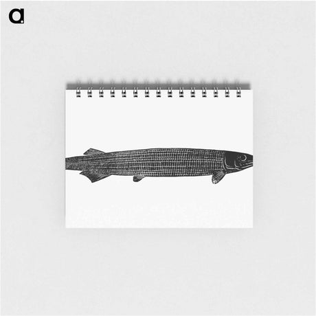 アートメモ帳-Fish from Manual Of Geology
 - 大英図書館 Memo.