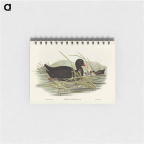 アートメモ帳-Dusky Moorhen
 - ジョン グールド Memo.