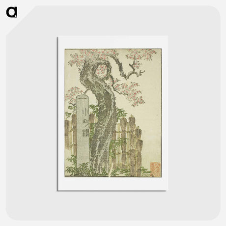 アートポストカード-Hokusai's Fine Views of the Eastern Capital at a Glance - 葛飾 北斎 Postcard.