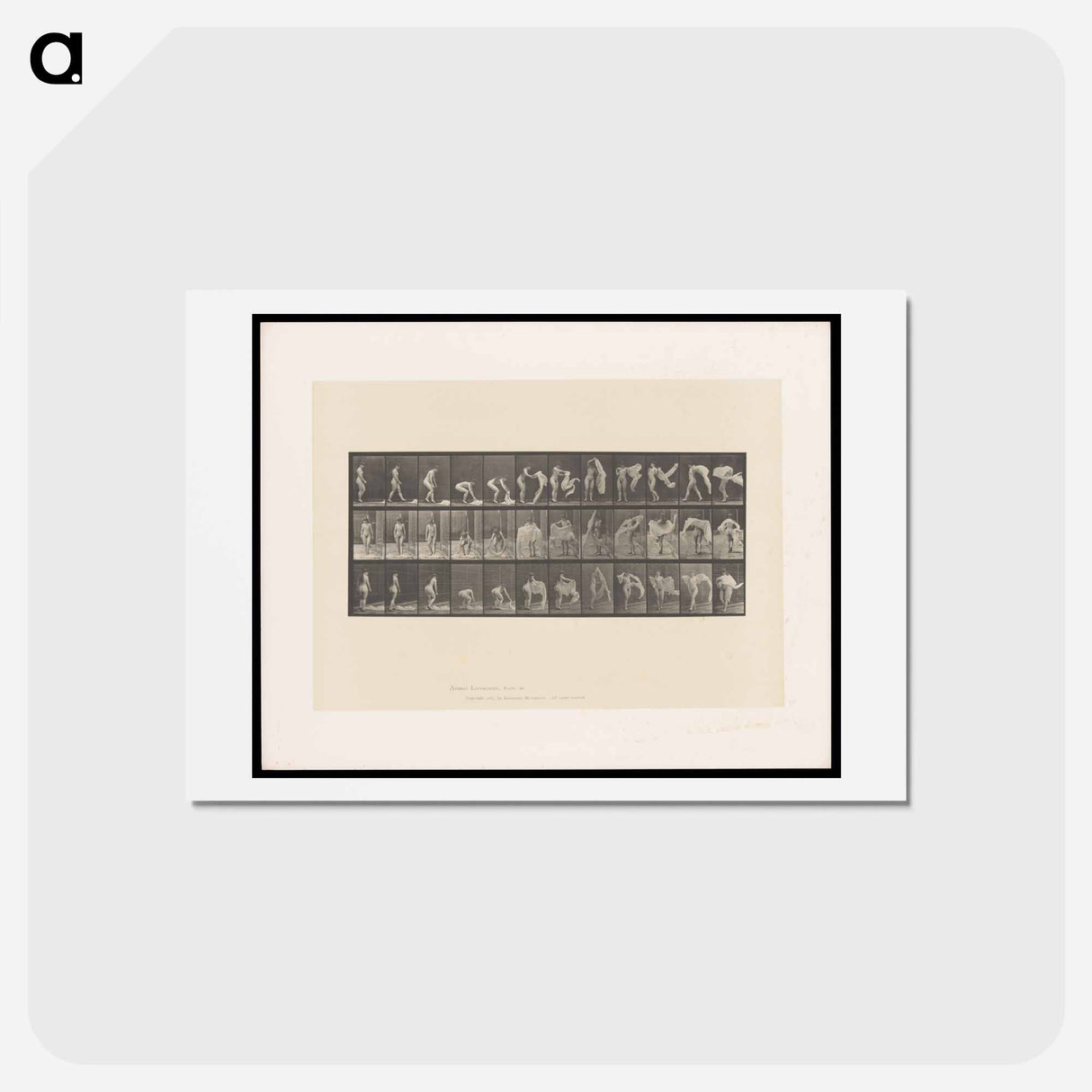 アートポストカード-Putting on a Shoe
 - エドワード マイブリッジ Postcard.