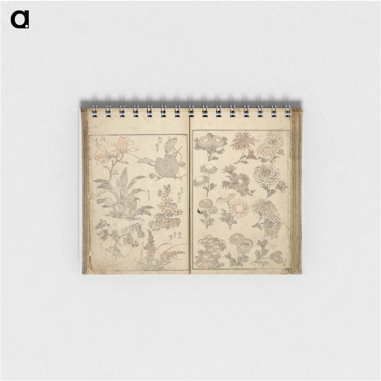 Random sketches by Hokusai volumes 1 to 11 - 葛飾 北斎 Memo.