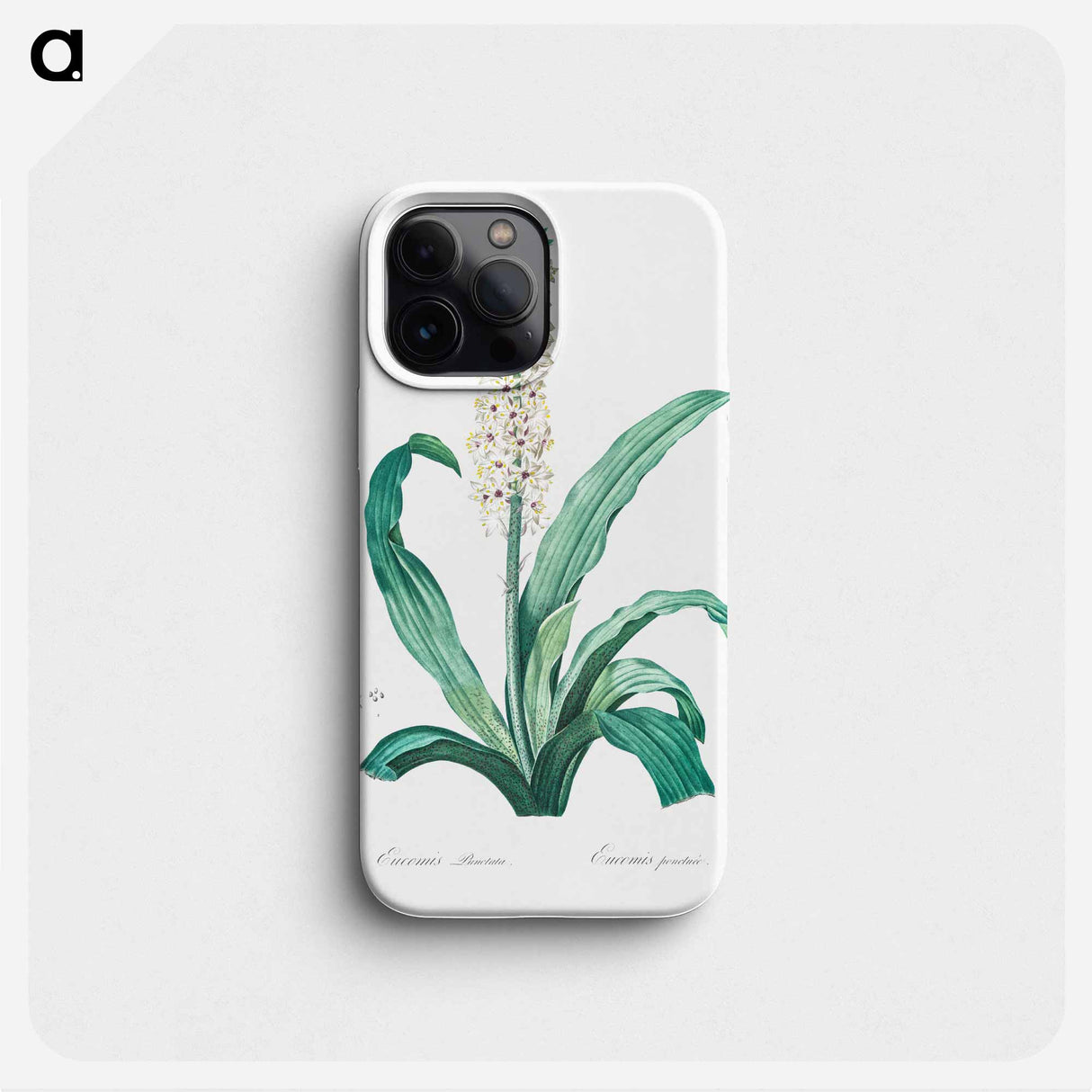 Eucomis punctata - Pierre Joseph Redouté Phone Case.