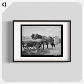 アートポスター-Field Horses at Noon
 - ラッセル リー Poster.