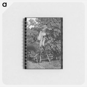 アートメモ帳-Field Horses at Noon
 - ラッセル リー Memo.