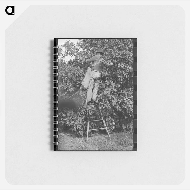 アートメモ帳-Field Horses at Noon
 - ラッセル リー Memo.