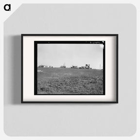 アートポスター-Settlement of small plots held mostly by lettuce shed workers, many from Oklahoma. Outskirts of Salinas, California. - ドロテア ラング Poster.