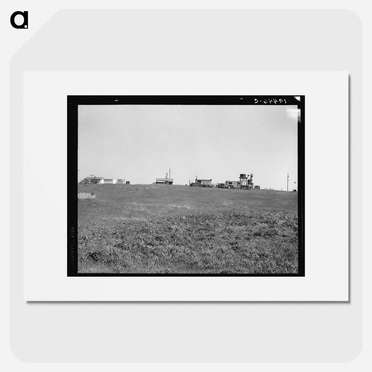 Settlement of small plots held mostly by lettuce shed workers, many from Oklahoma. Outskirts of Salinas, California. - Dorothea Lange Poster.