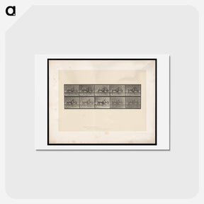 アートポストカード-Walking Gnu
 - エドワード マイブリッジ Postcard.