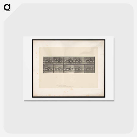 アートポストカード-Walking Gnu
 - エドワード マイブリッジ Postcard.