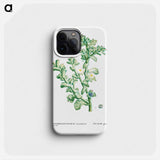 Mesembryanthemum Crystallinum (Common Iceplant) - Pierre Joseph Redouté Phone Case.