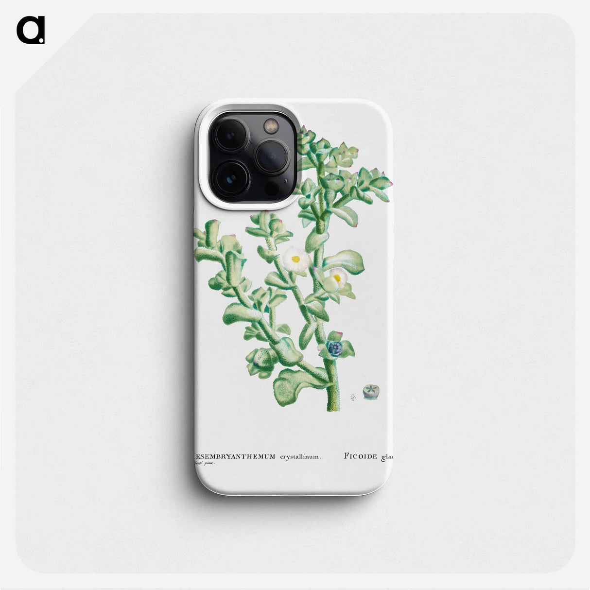 Mesembryanthemum Crystallinum (Common Iceplant) - ピエール ジョゼフ ルドゥーテ Phone Case.