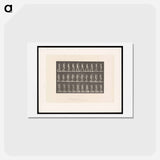 アートポストカード-Woman Walking
 - エドワード マイブリッジ Postcard.