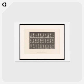 アートポストカード-Woman Walking
 - エドワード マイブリッジ Postcard.
