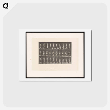 アートポストカード-Woman Walking
 - エドワード マイブリッジ Postcard.