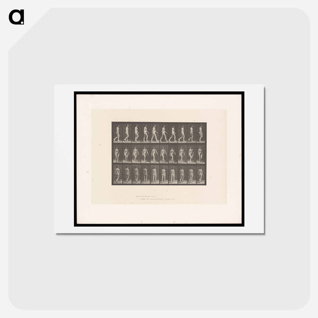 アートポストカード-Woman Walking
 - エドワード マイブリッジ Postcard.