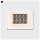 アートポストカード-Woman Walking
 - エドワード マイブリッジ Postcard.