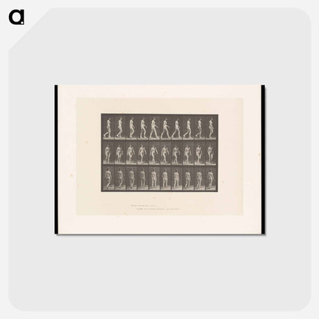 アートポストカード-Woman Walking
 - エドワード マイブリッジ Postcard.
