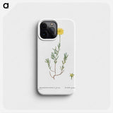 Mesembryanthemum Glaucum (Noon Flowers) - ピエール ジョゼフ ルドゥーテ Phone Case.