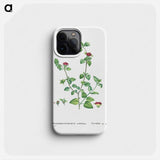 Mesembryanthemum Cordifolium (Baby Sun Rose) - Pierre Joseph Redouté Phone Case.