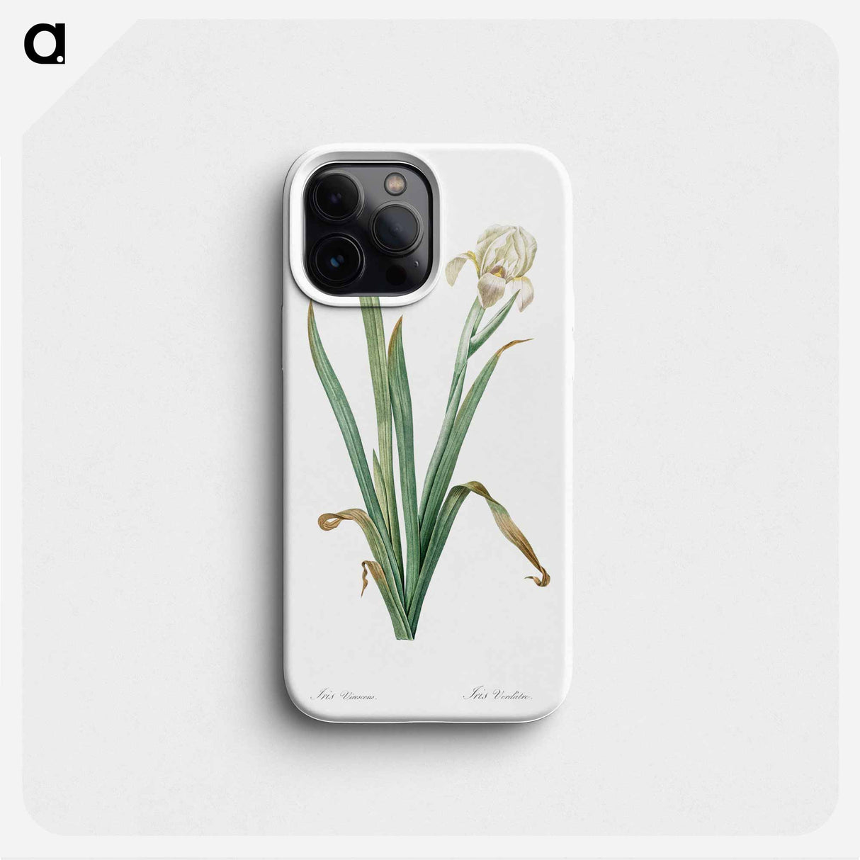 Crimean iris illustration - Pierre Joseph Redouté Phone Case.