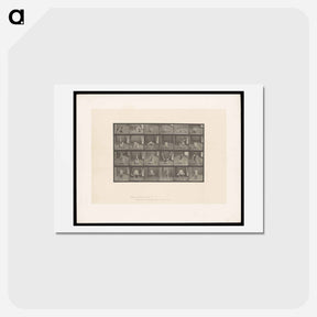 アートポストカード-Contortions
 - エドワード マイブリッジ Postcard.