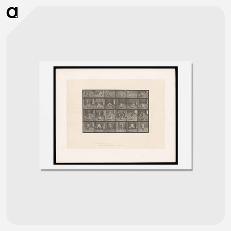 アートポストカード-Contortions
 - エドワード マイブリッジ Postcard.