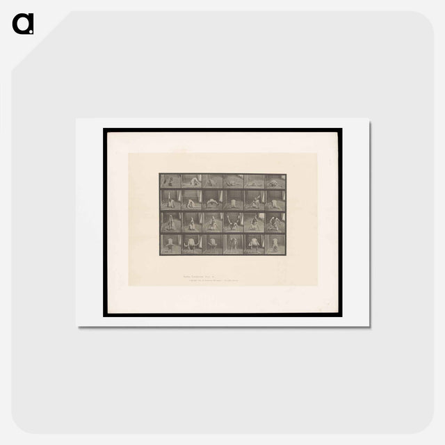 アートポストカード-Contortions
 - エドワード マイブリッジ Postcard.