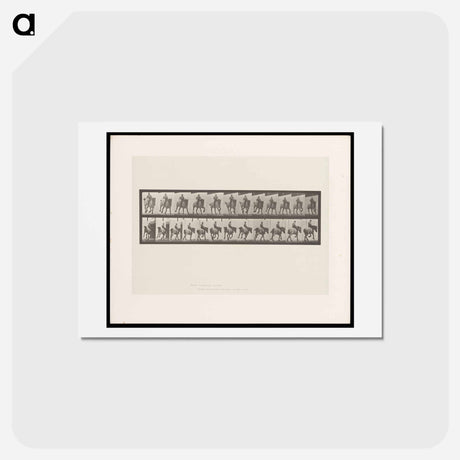 アートポストカード-Bareback Rider
 - エドワード マイブリッジ Postcard.