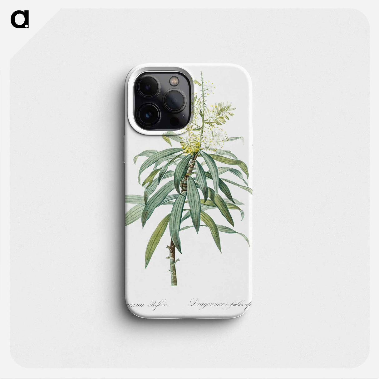 Pleomele illustration from Les liliacées - Pierre Joseph Redouté Phone Case.