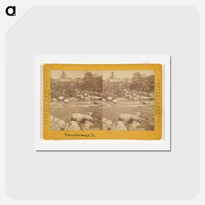 アートポストカード-Mazatenango
 - エドワード マイブリッジ Postcard.