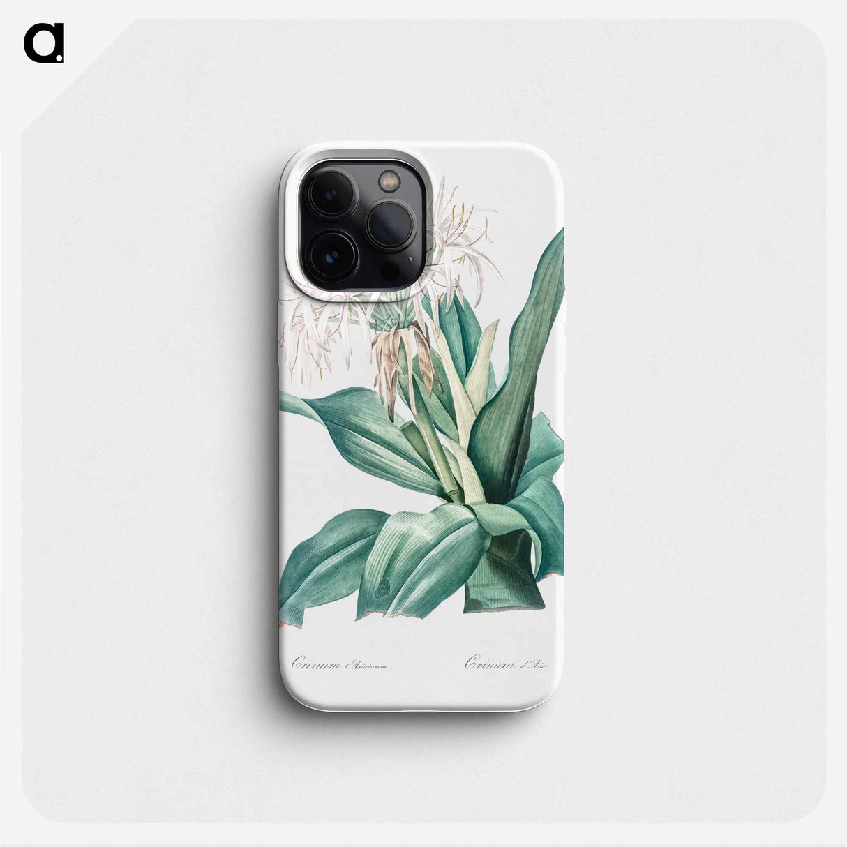 Poison bulb illustration - ピエール ジョゼフ ルドゥーテ Phone Case.