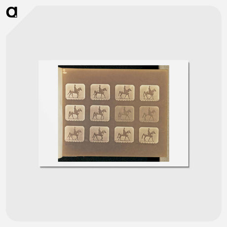 アートポストカード-Walking
 - エドワード マイブリッジ Postcard.