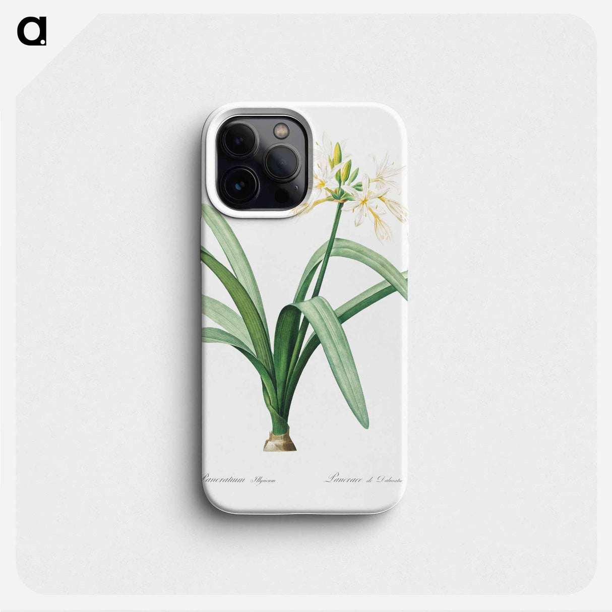 Pancratium illyricum - Pierre Joseph Redouté Phone Case.