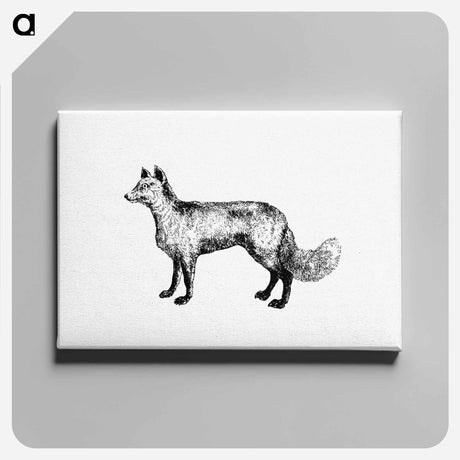 アートパネル-Mountain Fox
 - 大英図書館 Canvas.