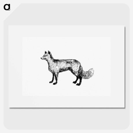 アートポスター-Mountain Fox
 - 大英図書館 Poster.