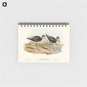 アートメモ帳-Marsh Sandpiper
 - ジョン グールド Memo.