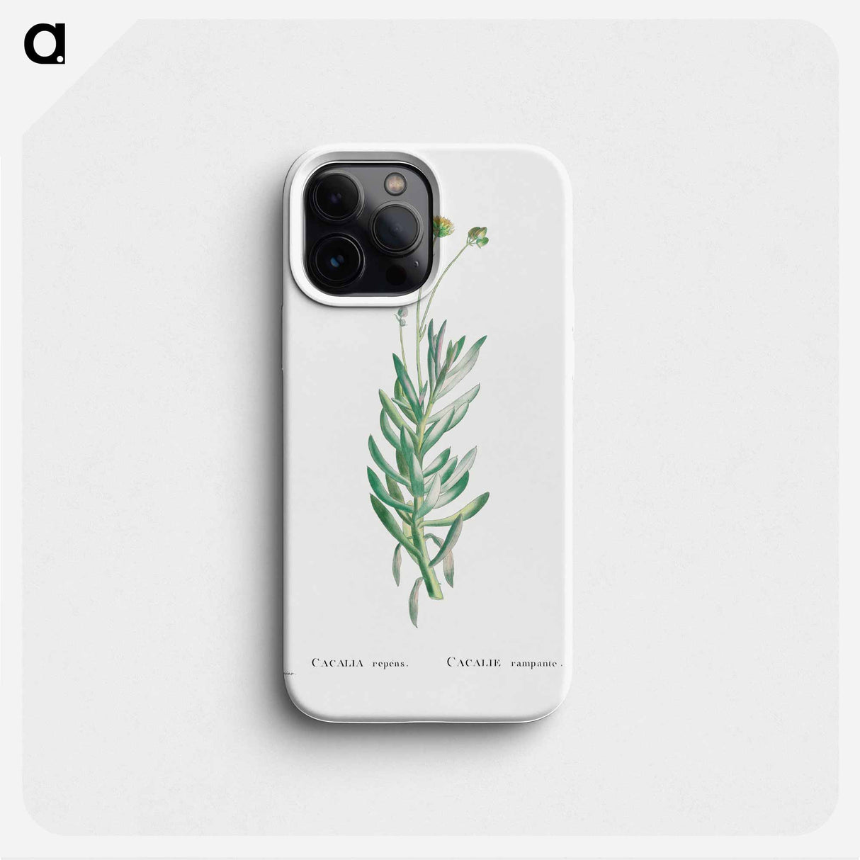 Cacalia Repens (Blue Chalksticks) - Pierre Joseph Redouté Phone Case.