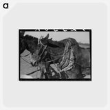 アートポストカード-Harnessed Mules of Pomp Hall
 - ラッセル リー Postcard.