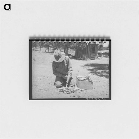 アートメモ帳-United Producers Cooperative Bulletin
 - ラッセル リー Memo.