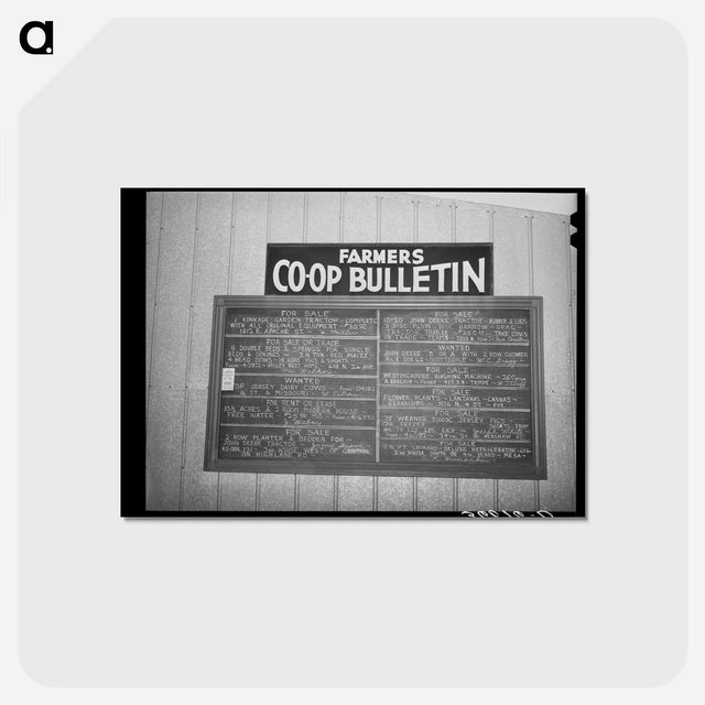 アートポストカード-United Producers Cooperative Bulletin
 - ラッセル リー Postcard.