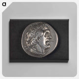 アートパネル-Head of Ptolemy I
 - セントルイス美術館 Canvas.
