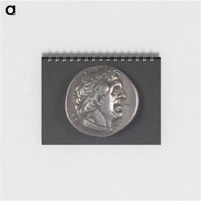 アートメモ帳-Head of Ptolemy I
 - セントルイス美術館 Memo.