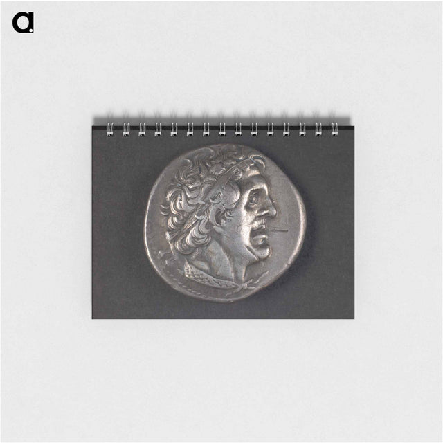 アートメモ帳-Head of Ptolemy I
 - セントルイス美術館 Memo.