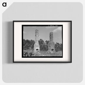 アートポスター-Standing chimneys of an old plantation house - ドロテア ラング Poster.