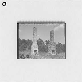 アートメモ帳-Standing chimneys of an old plantation house - ドロテア ラング Memo.
