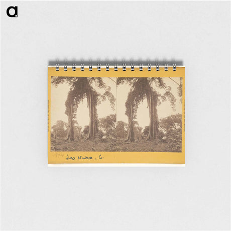 アートメモ帳-Las Nubes, Matapala Tree
 - エドワード マイブリッジ Memo.